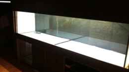 aquarium-von-maxarl-wohnzimmer-schaubecken_mit voller Beleuchtung