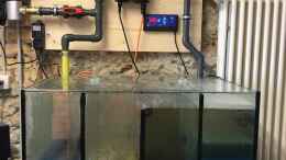 aquarium-von-hippopotan-diskus_Filterbecken, UV-C Klärer, Pumpensteuerung, Temperaturregle