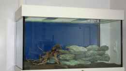 aquarium-von-flaschenbauer-becken-25728_Steinaufbau im leeren Zustand