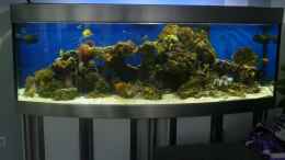 aquarium-von-sid-becken-25756_Meerwasser Aquarium 200x70x70