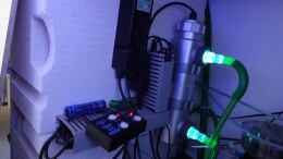 Aquarium einrichten mit UV-KLärer und Wellenschlagsimulator