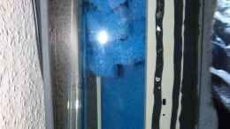 aquarium-von-carsten-peters-mbunas-felsen_Kammer HMF mit Heizer, Thermometer und Filtermattenwürfel