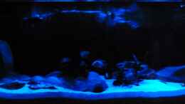 aquarium-von-christian74-becken-25803_mittlerer Bereich bei Mondlicht
