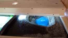 aquarium-von-christian74-becken-25803_Hängefelsen mit Tunze Strömungspumpe