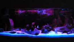 aquarium-von-christian74-becken-25803_mittlerer Bereich bei Sonnenuntergang