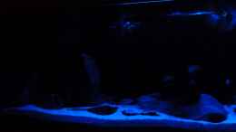 aquarium-von-christian74-becken-25803_linker Bereich bei Mondlicht