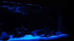 aquarium-von-christian74-becken-25803_rechter Bereich bei Mondlicht