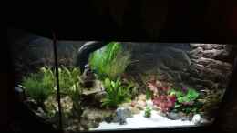 aquarium-von-mcfly-kleine-unterwasserwelt_Stand 16 März 2013