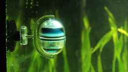 aquarium-von-david-b-first-aquascap_Dennerle O2 Langzeittest Correct + pH 