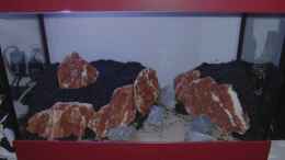 aquarium-von-bjarke-little-asia_Samuraisteine so platziert, dass es mir gefällt. Die grauen