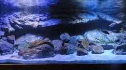 aquarium-von-struecher-jung-guidos-kaiserpalast_Papua und H-Modul