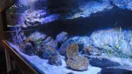 aquarium-von-struecher-jung-guidos-kaiserpalast_H-Stonemodul und große Kiesel