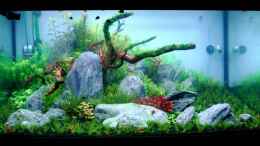 aquarium-von-bjarke-fading-memories_22.3.13