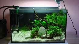 aquarium-von-cantiga-becken-26213_Frontshot mit schwarzem Hintergrund