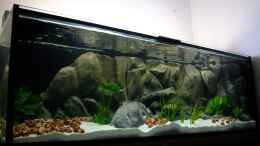 aquarium-von-trooper-tanganjikabecken-mit-selbstgebauter-rueckwand_Mein neues Tanga - Becken 04.2013