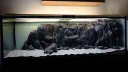 aquarium-von-trooper-tanganjikabecken-mit-selbstgebauter-rueckwand_75 kg feinster Sand