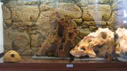 aquarium-von-michael-kamrath-becken-2624_Dekoration wurde teilweise eingeklebt