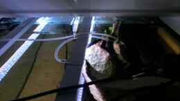 aquarium-von-goreslayer-chichlidius-tank_Lumlight LEDs von oben