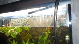 aquarium-von-fischkopp83-mein-stueck-suedamerika_Zum befüllen verwende ich ein JBL Düsenstrahlrohr