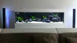 aquarium-von-axxo-malawi_Aquarium zwischen LED Dolby Surround System