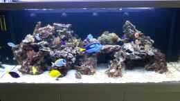 aquarium-von-urbi-becken-26483_jetzt schaut mein neues Aquarium schon besser aus !