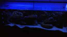 aquarium-von-waldteufel-mbuna-rocksbecken-wurde-aufgeloest_Mondphase anfangs