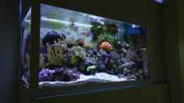 aquarium-von-traum-hobby-de-meerwasser-nano_Seitenprofil