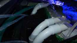aquarium-von-okrim-placidochromis-dream-aufgeloest_Ein blick von oben auf die beiden Mobiler HMF Reaktor ProfiB