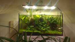 aquarium-von-el-hein-livingroomuebergangstank_Living-Room-Tank 1.0