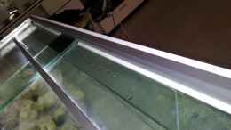 aquarium-von-tom-m--becken-27165_Alueckprofil mit Hart-PVC-Platte verschraubt