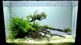 aquarium-von-fredo-fuss-little-big-flow_Little Big Flow