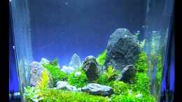 aquarium-von-fredo-fuss-little-big-stones_Little Big Stones