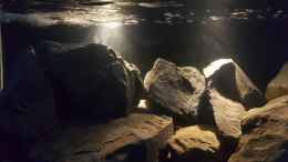aquarium-von-thomas0902-becken-27266_LED Beleuchtung 