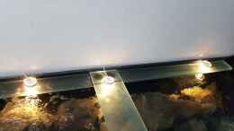 aquarium-von-thomas0902-becken-27266_0815 LED-Beleuchtung schwedisches Möbelhaus..wird aber noch