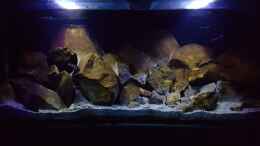 aquarium-von-thomas0902-becken-27266_Dank Patina sieht es noch natürlicher aus