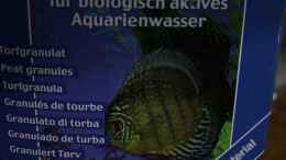 aquarium-von-falk-the-peruvian_Das Torfgranulat ,welches das Wasser im Technikbecken ansäu