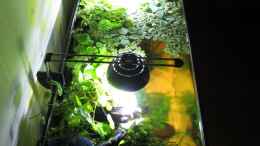 aquarium-von-frank-h--motoerfish_Becken von gerade oben