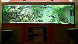 aquarium-von-georg-seidl-becken-276_1512 Liter