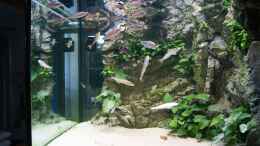 aquarium-von-michael-walther-becken-27667_