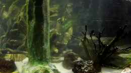aquarium-von-snooze-new-underwater-world_26.10.2013
