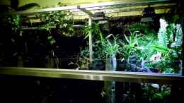aquarium-von-snooze-new-underwater-world_Beleuchtung: Links hängen 2 x Led Panele   Rechts  sind 2 x