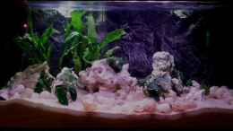 aquarium-von-daniel-kastner-tanganjika-sandy-stones-nur-noch-beispiel_19.12.2013 Das ist der aktuelle Stand