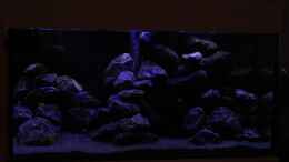 aquarium-von-sergio10-the-rock_So nur die Kaltweiße LED und die Blaue !!