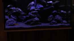 aquarium-von-sergio10-the-rock_So nur die Kaltweiße LED und die Blaue !!
