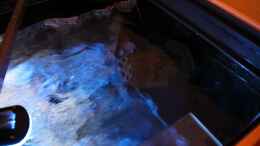 aquarium-von-sebastian-o--575-liter-malawibecken_Strömungspumpe Sicce Voyager 4