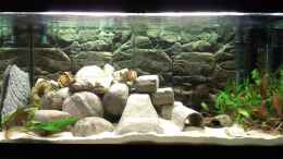 aquarium-von-paul8-becken-28171_Altes Bild mit Röhren-Beleuchtung