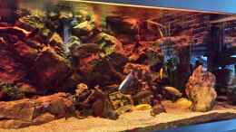 aquarium-von-thomas-u--gabriele-p--malawi-african-sea-or-der-muehe-lohn_Sonnenuntergang