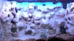 aquarium-von-soeren-petersen-becken-2847_bau der Rückwand