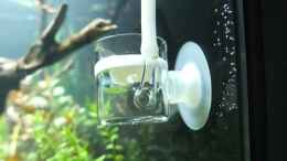 aquarium-von-axolotl-somewhere----nicht-mehr-aktuell_CO2-Ausströmer