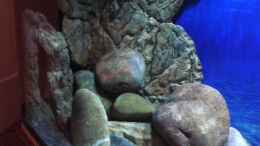 aquarium-von-noah-malawi-homezone-reloaded-aufgeloest_Mein kleiner Steinhaufen